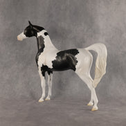 Meet The Flockers OOAK Arabian Stallion by Madi Wiseman DDOOAKs26