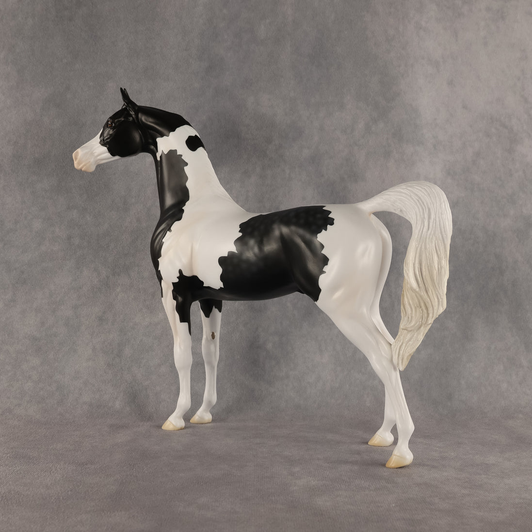 Meet The Flockers OOAK Arabian Stallion by Madi Wiseman DDOOAKs26