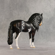 Melrose OOAK FCM Andalusian by Anna Rieck DDOOAKs26