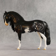 Melrose OOAK FCM Andalusian by Anna Rieck DDOOAKs26