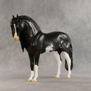 Melrose OOAK FCM Andalusian by Anna Rieck DDOOAKs26