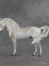 Meridiem  OOAK FCM Andalusian by Ellen Robbins SHCF26