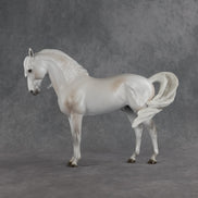 Meridiem  OOAK FCM Andalusian by Ellen Robbins SHCF26