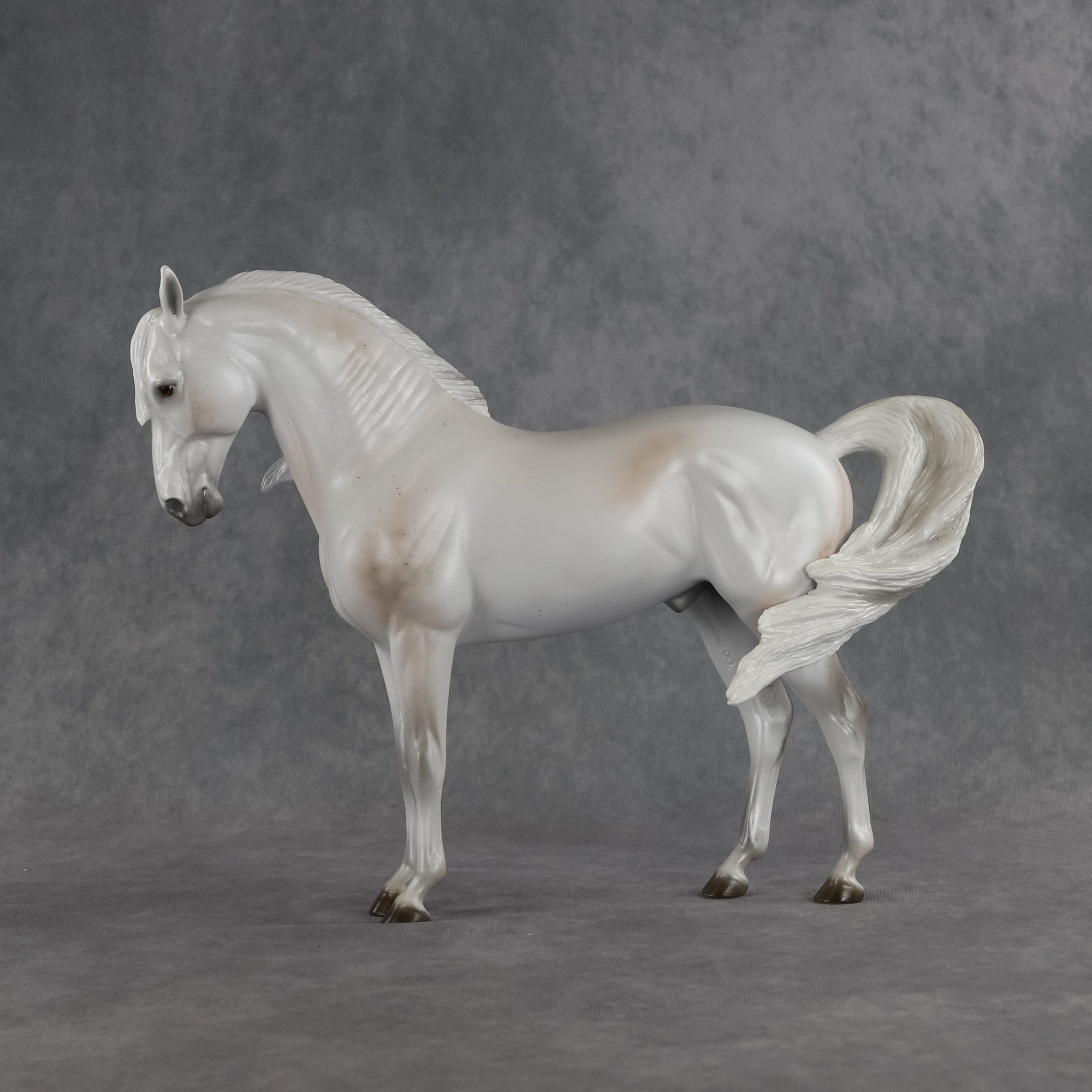 Meridiem  OOAK FCM Andalusian by Ellen Robbins SHCF26