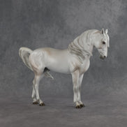 Meridiem  OOAK FCM Andalusian by Ellen Robbins SHCF26