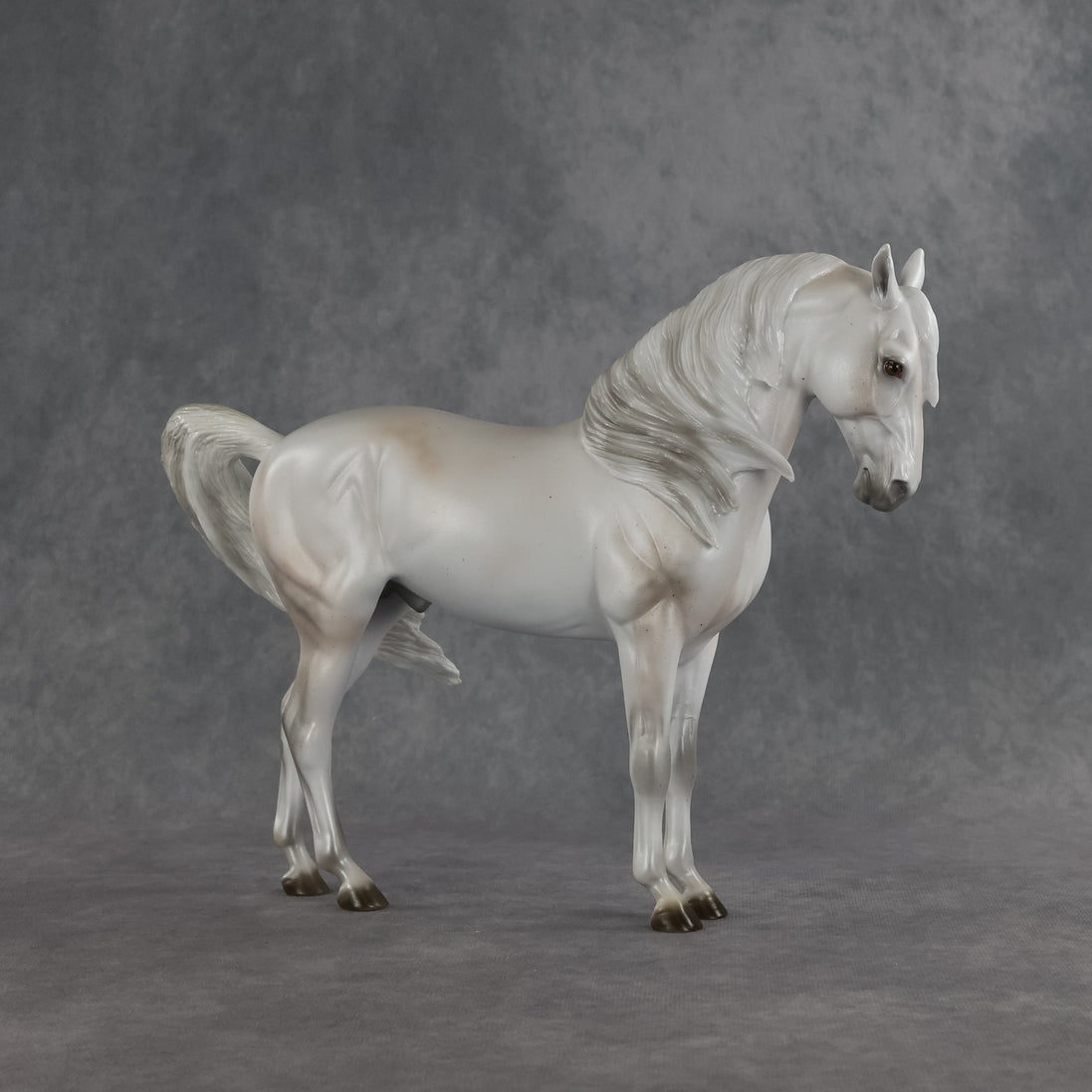 Meridiem  OOAK FCM Andalusian by Ellen Robbins SHCF26