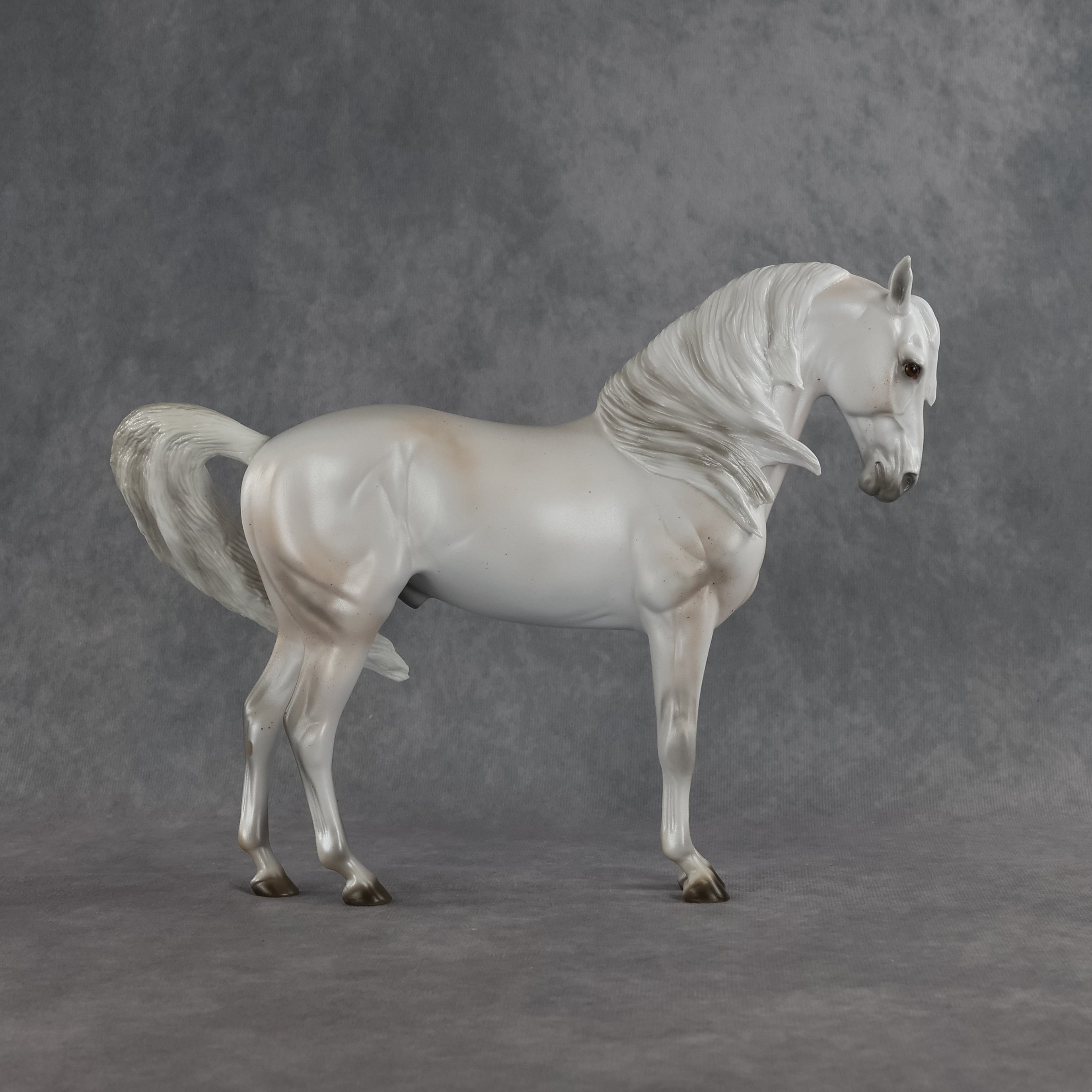 Meridiem  OOAK FCM Andalusian by Ellen Robbins SHCF26