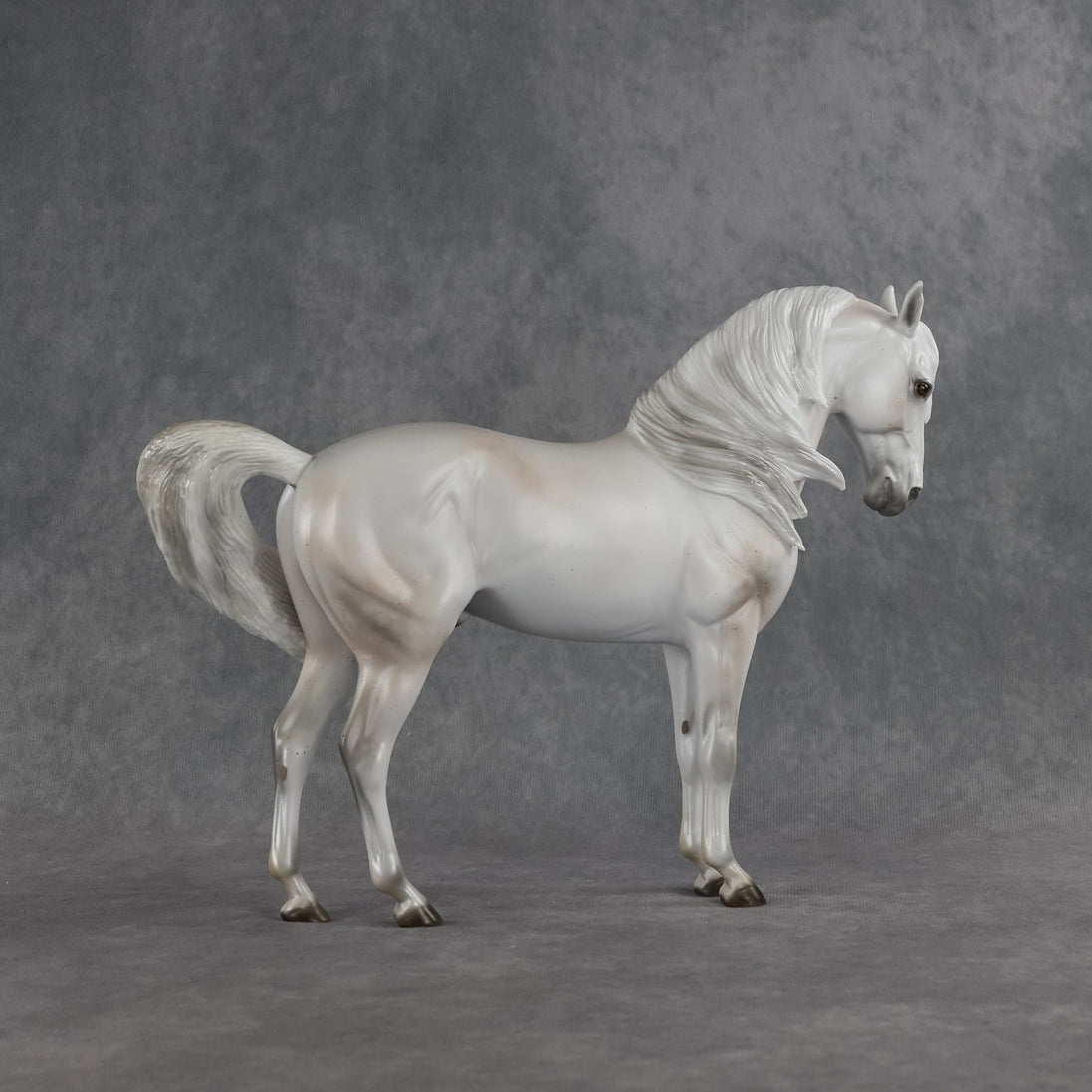 Meridiem  OOAK FCM Andalusian by Ellen Robbins SHCF26