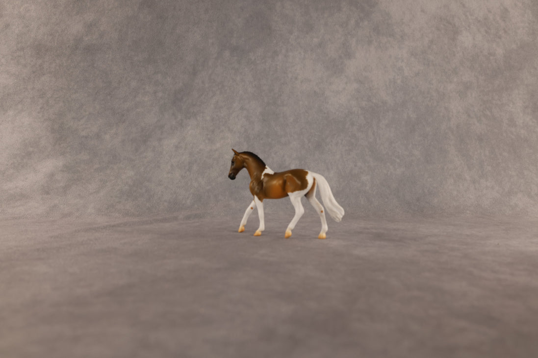 Middle Name OOAK Chip Warmblood by Alex Fortman EQ26