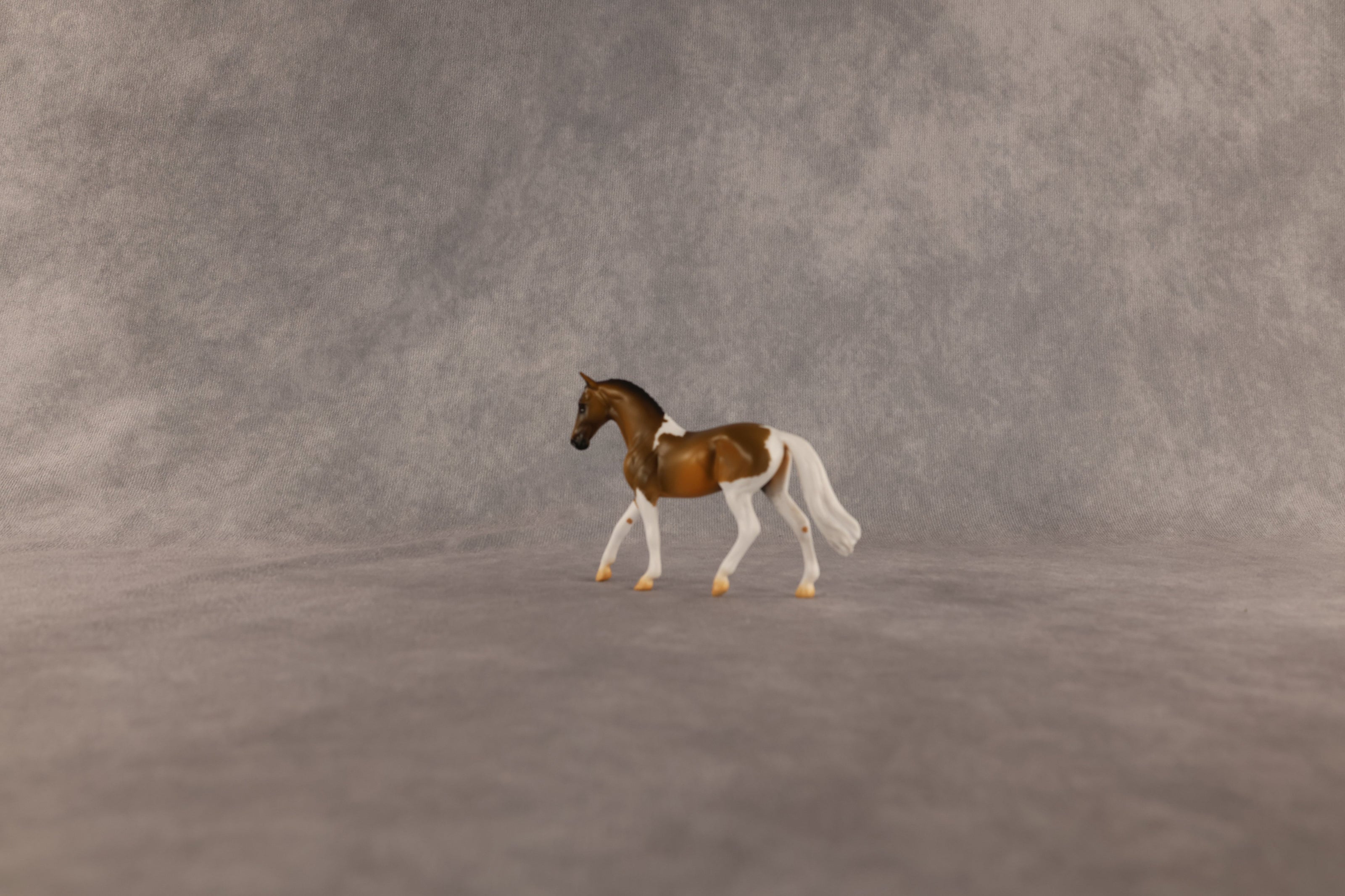 Middle Name OOAK Chip Warmblood by Alex Fortman EQ26