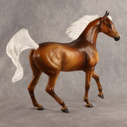 Mimic LE-5 Arabian Mare by Enrique Duarte ES26
