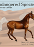 Mimic LE-5 Arabian Mare by Enrique Duarte ES26