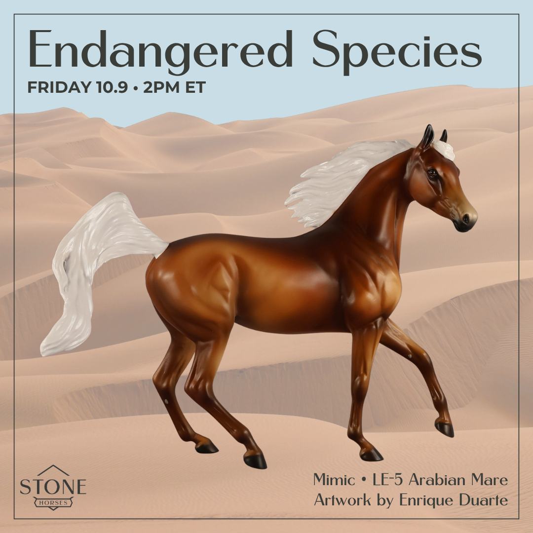 Mimic LE-5 Arabian Mare by Enrique Duarte ES26