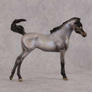Mini Arcana LE-5 EFCM Chip Arabian by Ellen Robbins & Carissa Mathews Ro326
