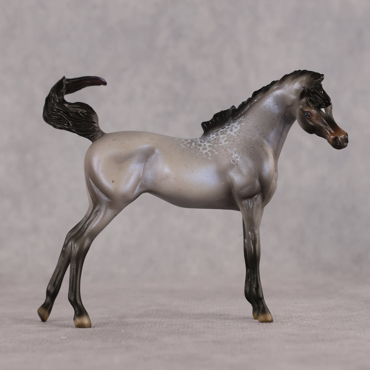 Mini Arcana LE-5 EFCM Chip Arabian by Ellen Robbins & Carissa Mathews Ro326