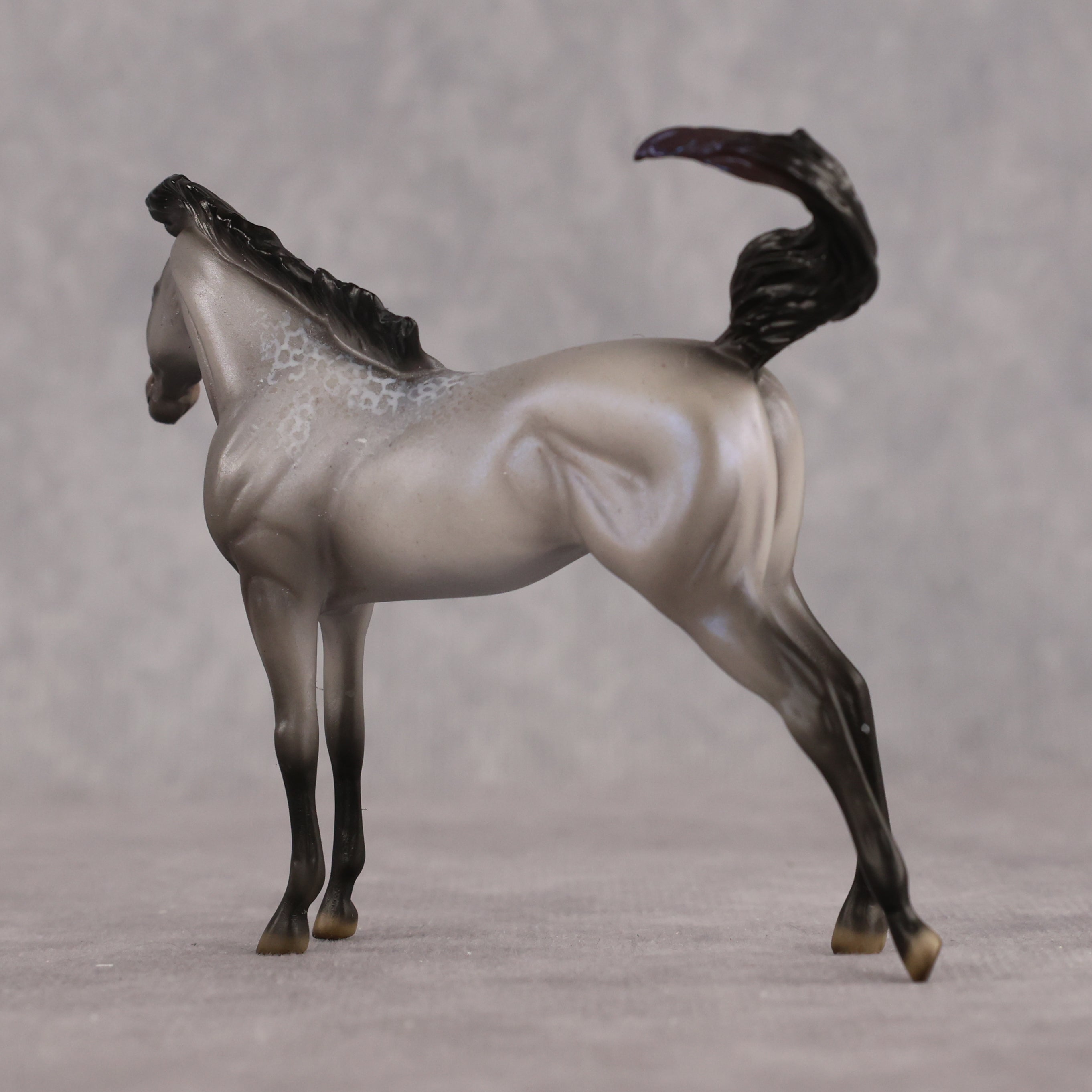 Mini Arcana LE-5 EFCM Chip Arabian by Ellen Robbins & Carissa Mathews Ro326