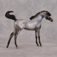 Mini Arcana LE-5 EFCM Chip Arabian by Ellen Robbins & Carissa Mathews Ro326