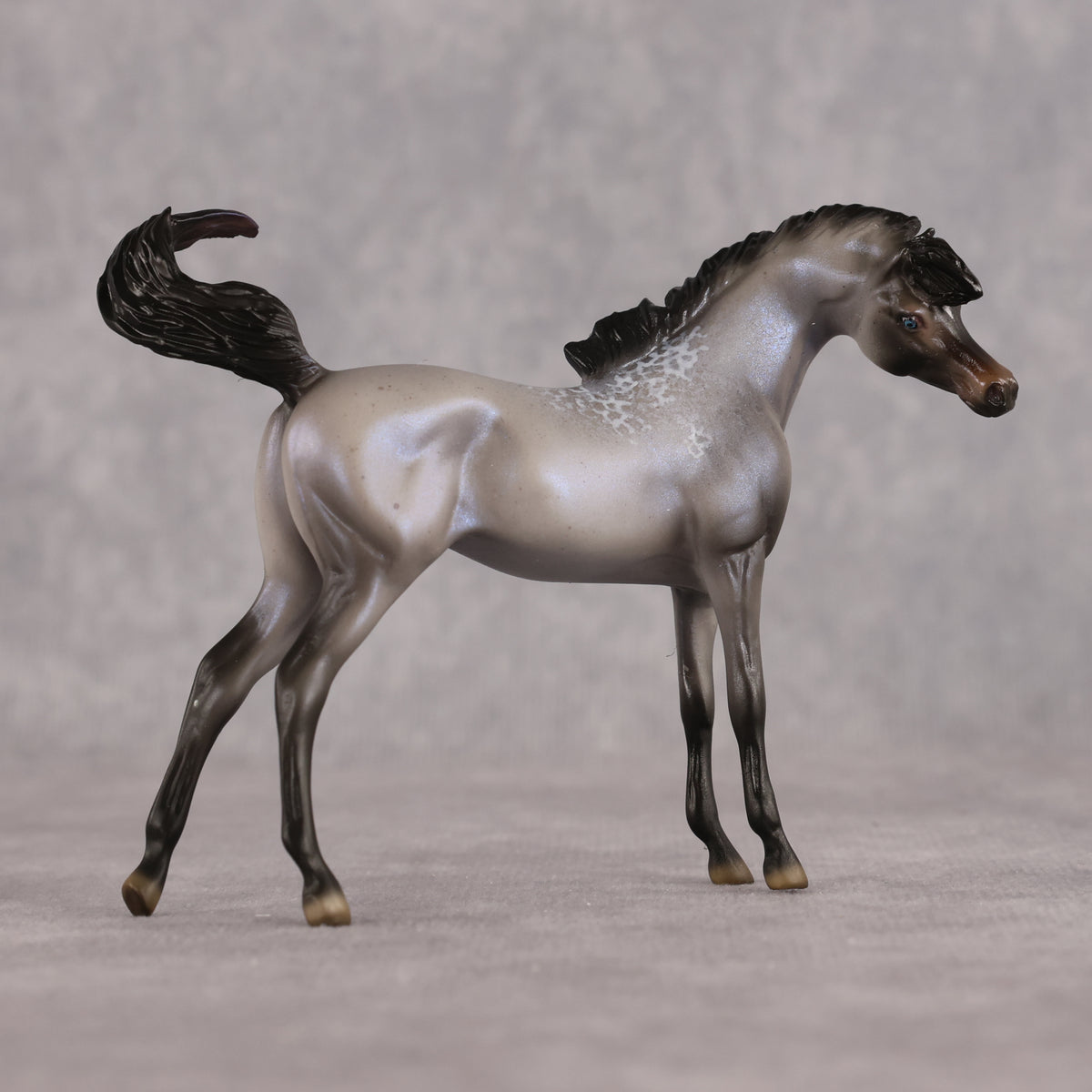 Mini Arcana LE-5 EFCM Chip Arabian by Ellen Robbins & Carissa Mathews Ro326