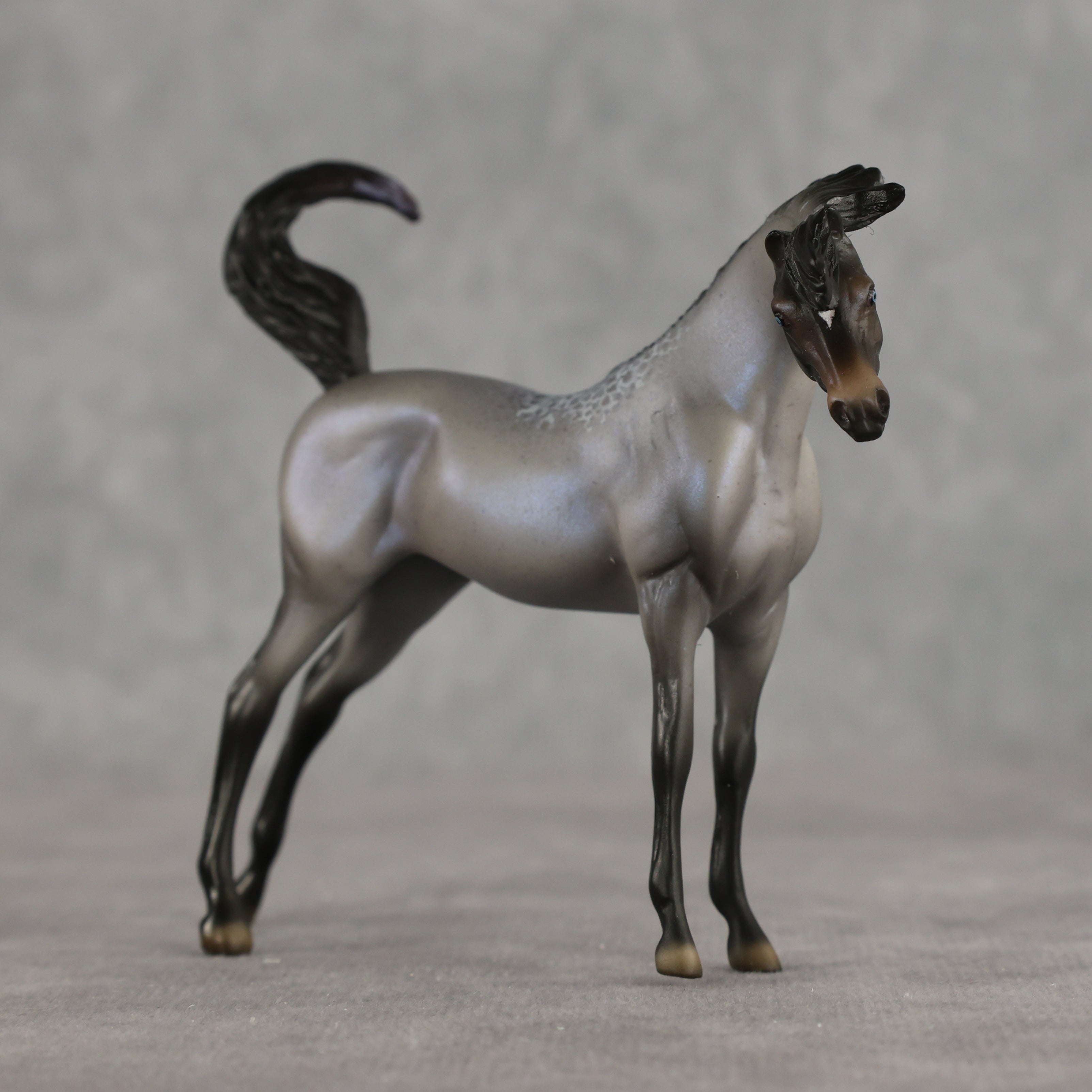 Mini Arcana LE-5 EFCM Chip Arabian by Ellen Robbins & Carissa Mathews Ro326