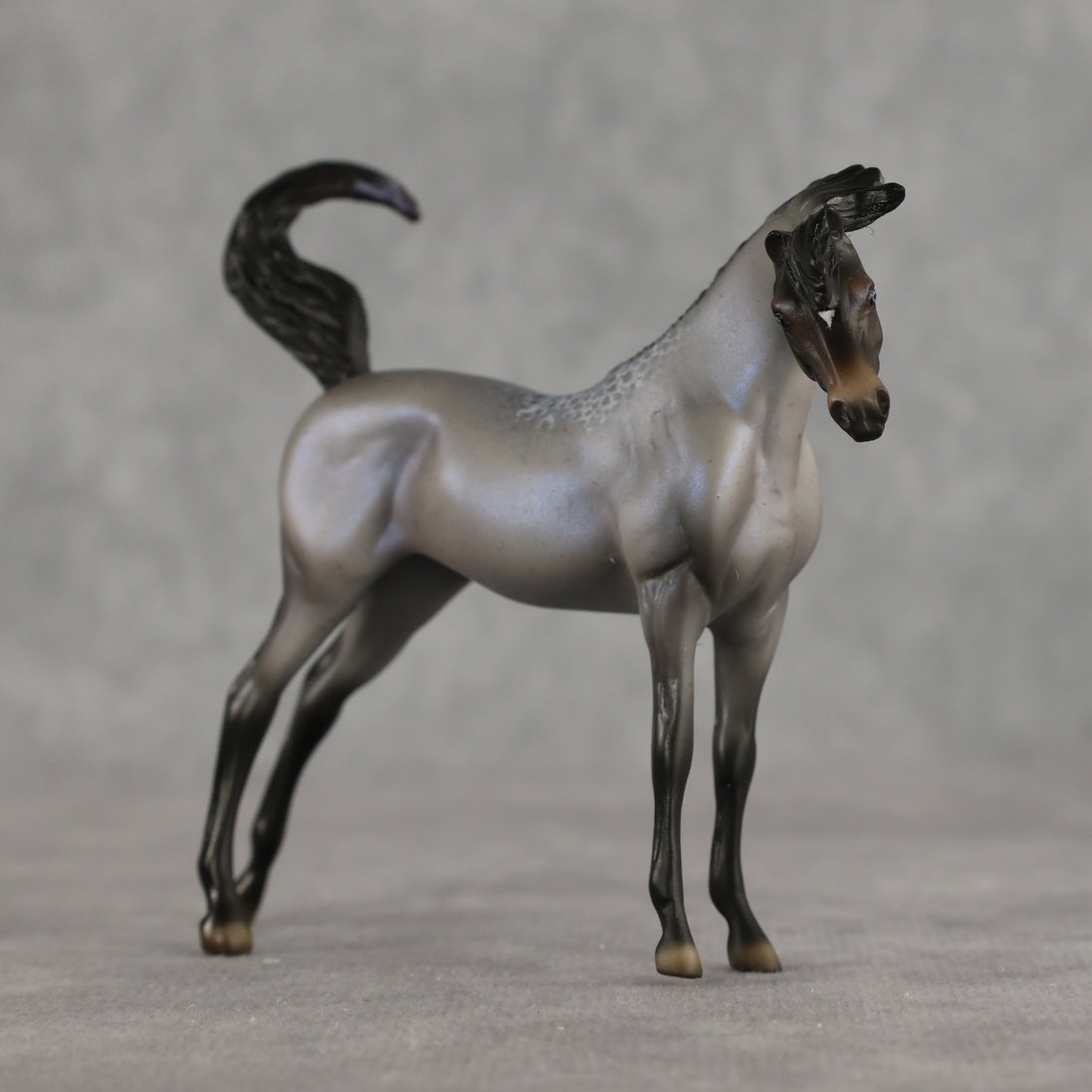 Mini Arcana LE-5 EFCM Chip Arabian by Ellen Robbins & Carissa Mathews Ro326