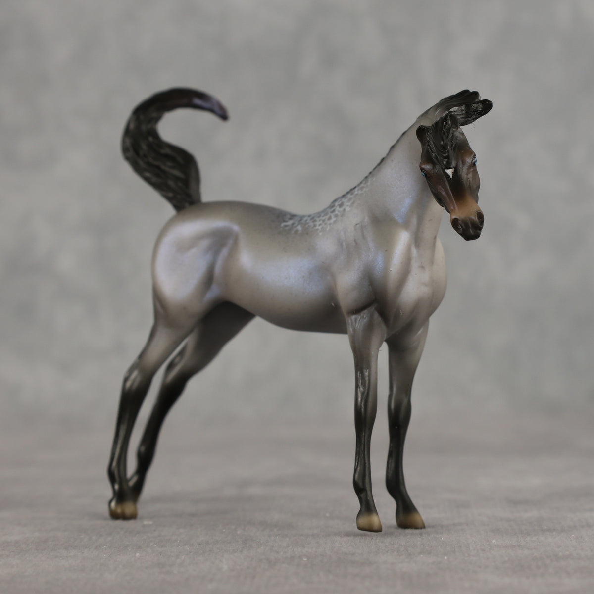 Mini Arcana LE-5 EFCM Chip Arabian by Ellen Robbins & Carissa Mathews Ro326
