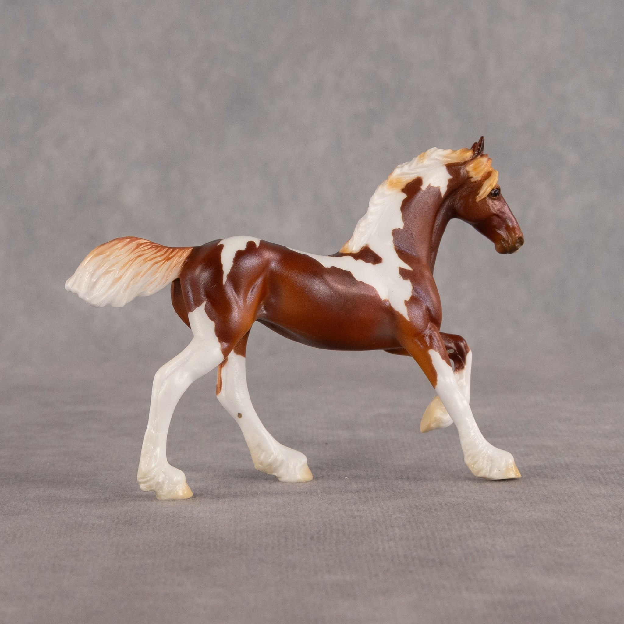 Mini Hyalophora LE-5 EFCM Chip Friesian by Ellen Robbins & Carissa Mathews Ro326