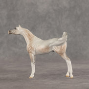 Mini Kit LE-5 FCM Chip Arabian by Ellen Robbins & Carissa Mathews Ro326
