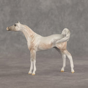 Mini Kit LE-5 FCM Chip Arabian by Ellen Robbins & Carissa Mathews Ro326