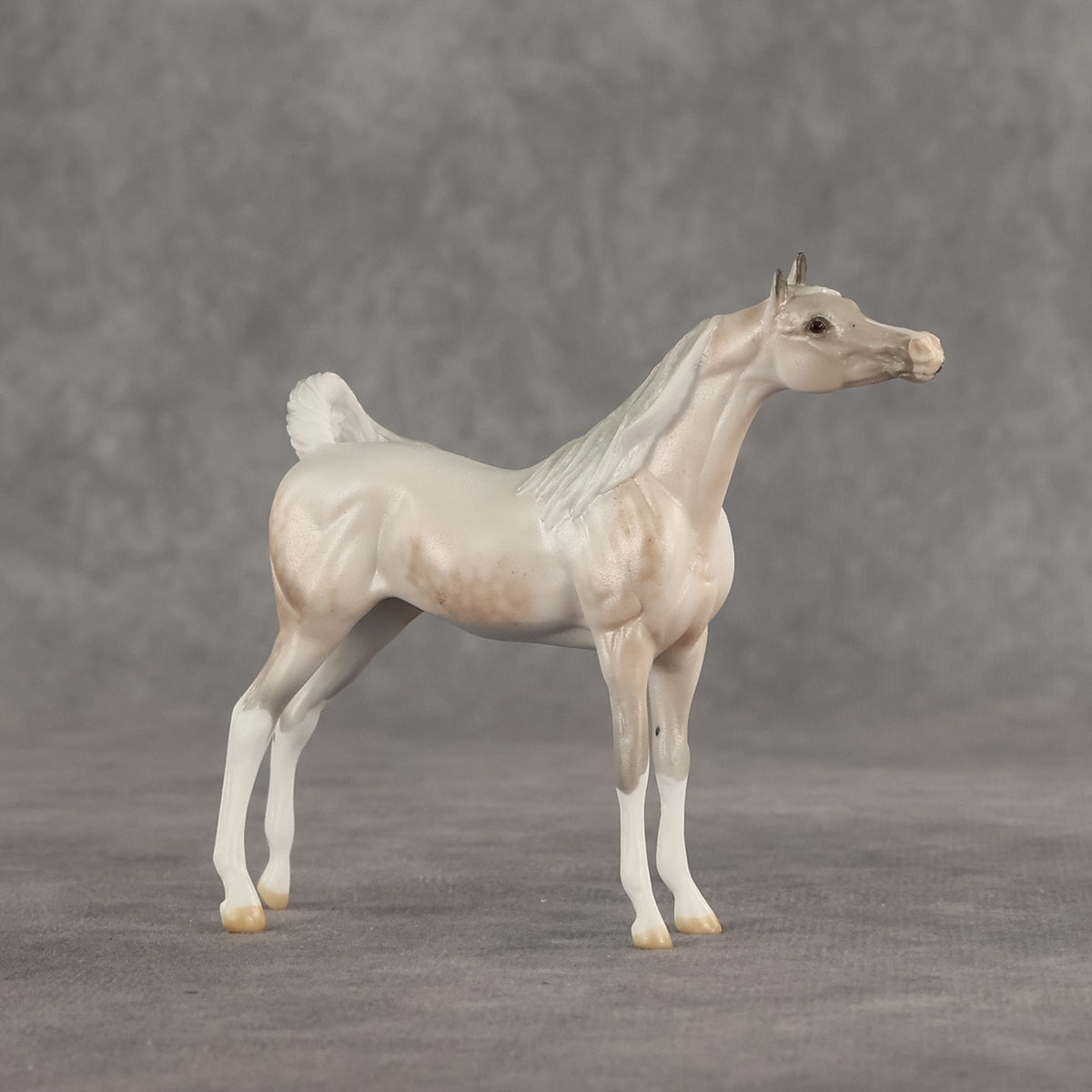 Mini Kit LE-5 FCM Chip Arabian by Ellen Robbins & Carissa Mathews Ro326