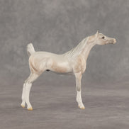 Mini Kit LE-5 FCM Chip Arabian by Ellen Robbins & Carissa Mathews Ro326