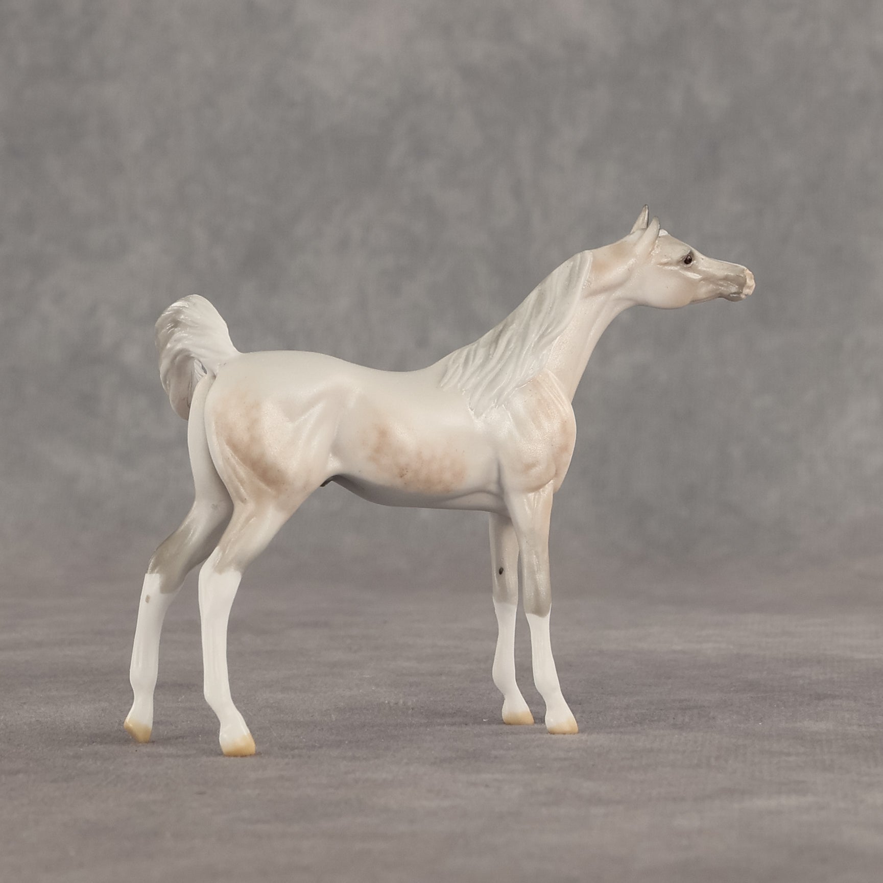 Mini Kit LE-5 FCM Chip Arabian by Ellen Robbins & Carissa Mathews Ro326