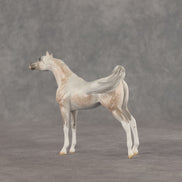 Mini Kit LE-5 FCM Chip Arabian by Ellen Robbins & Carissa Mathews Ro326
