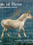Mini Odessia OOAK EFCM Chip Pony by Jess Hamill & Carissa Mathews Ro326