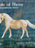 Mini Westerly OOAK FCM Chip Pony by Ellen Robbins & Carissa Mathews Ro326