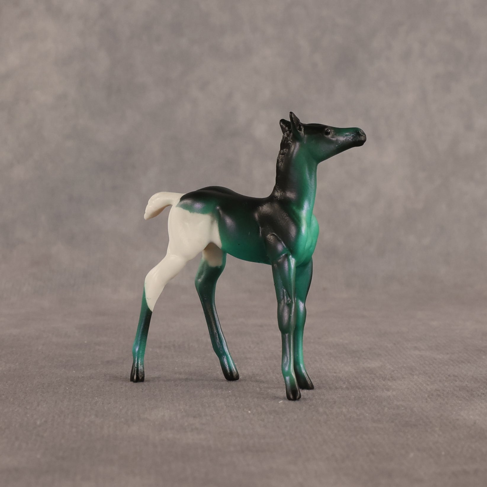 Mint Toothpaste OOAK Chip Foal by Alex Fortman EQ26