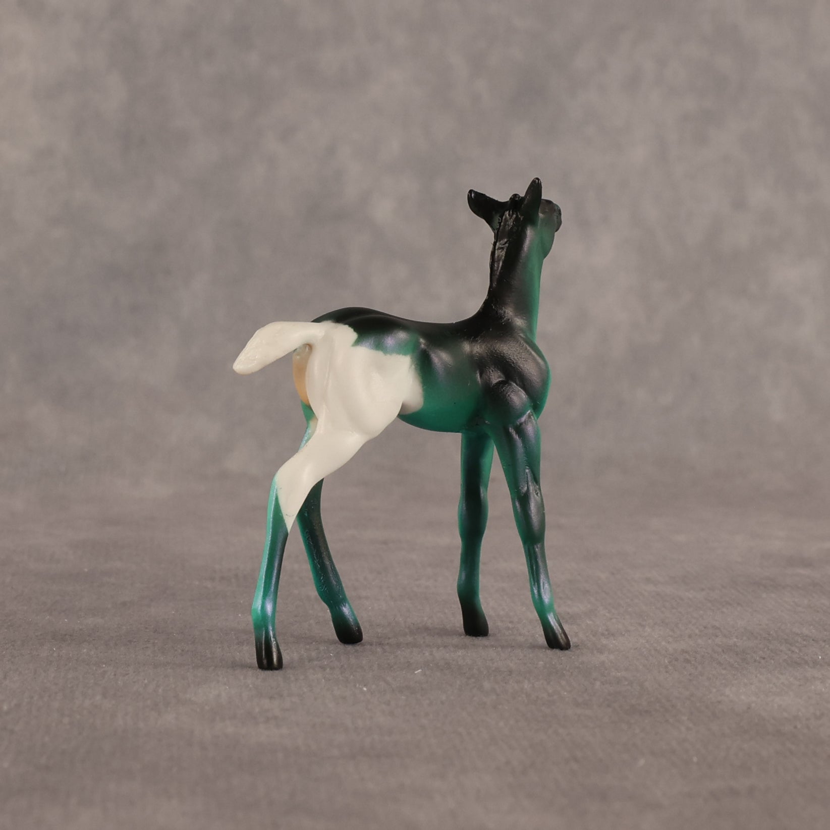 Mint Toothpaste OOAK Chip Foal by Alex Fortman EQ26