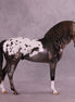 Misery Business  OOAK Andalusian by Julie Keim MM25 Group B