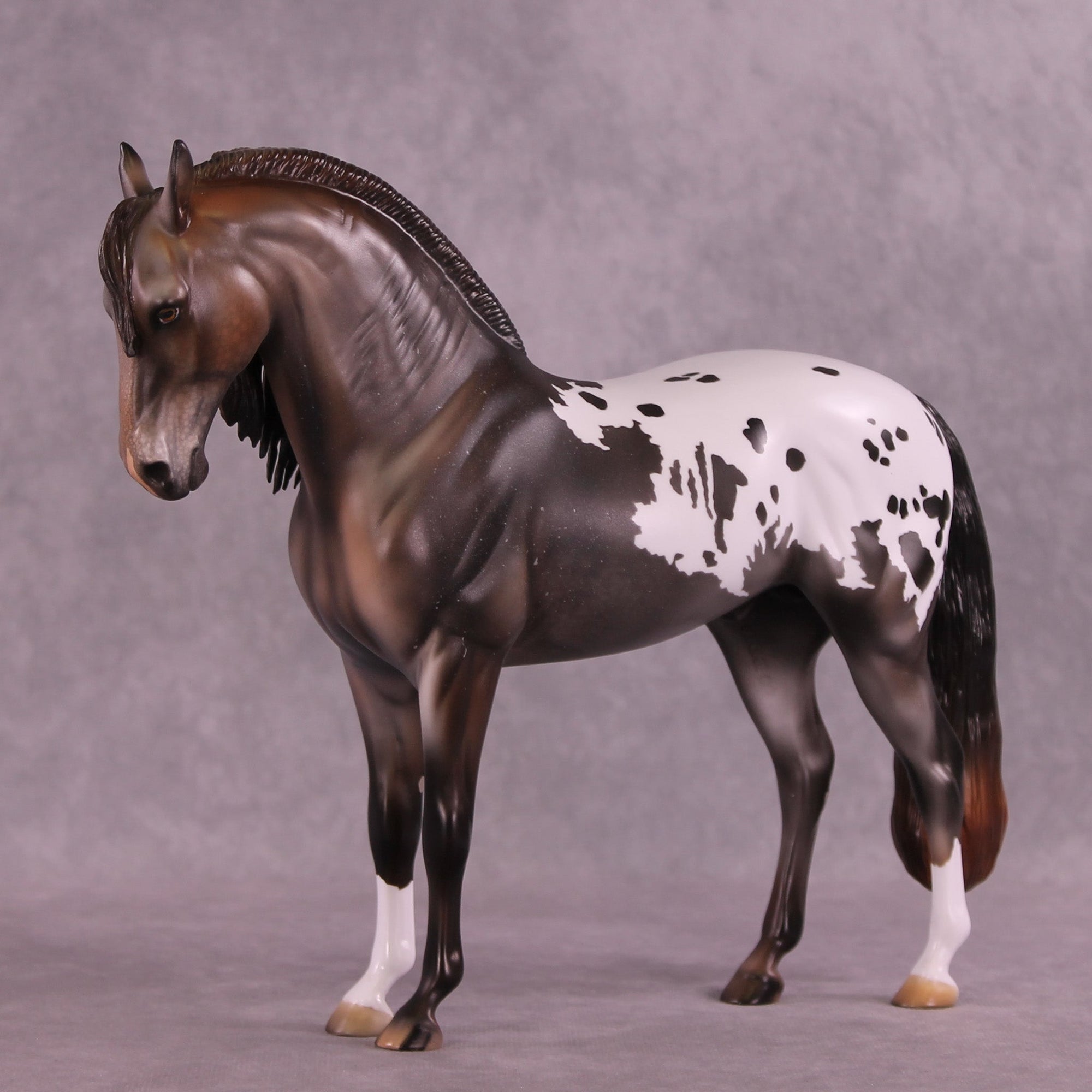 Misery Business  OOAK Andalusian by Julie Keim MM25 Group B