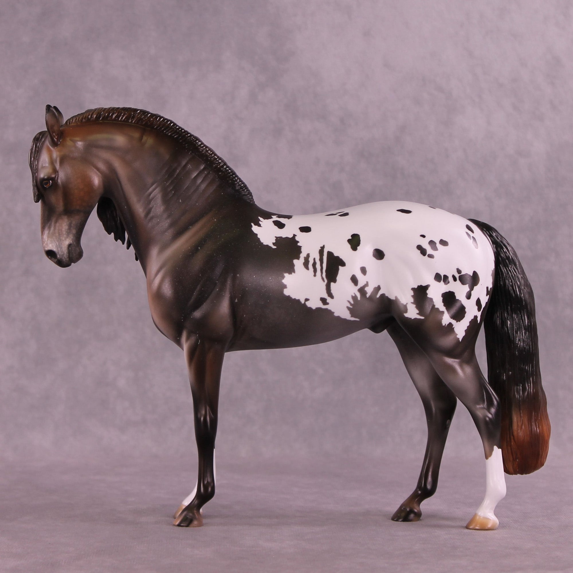 Misery Business  OOAK Andalusian by Julie Keim MM25 Group B