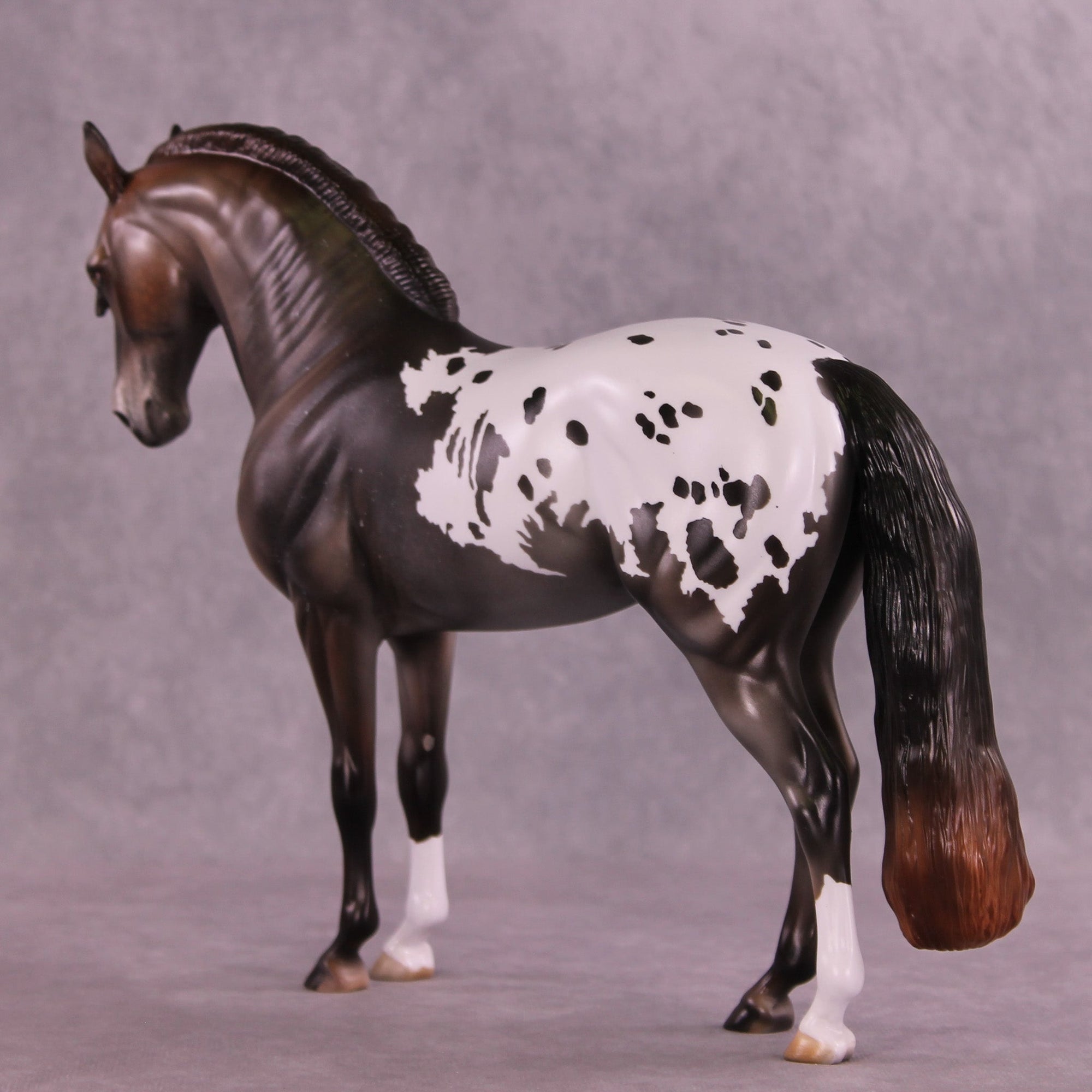 Misery Business  OOAK Andalusian by Julie Keim MM25 Group B