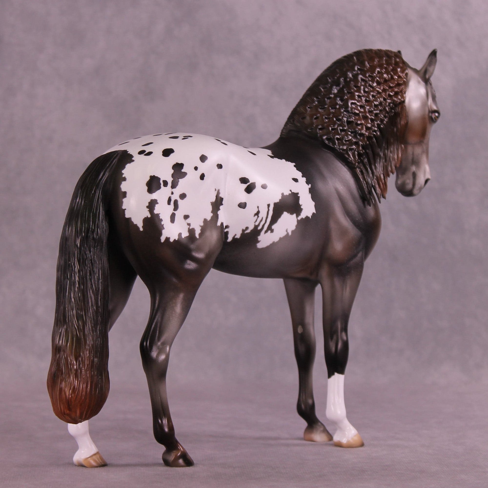 Misery Business  OOAK Andalusian by Julie Keim MM25 Group B