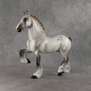 SAMPLE Misfortune Trotting Drafter by Jess Hamill SS1026