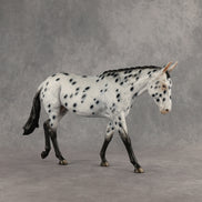 Miss Filing OOAK FCM Large Mule by Dawn Quick DDOOAKs26