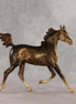 Mixed Message OOAK Arabian Yearling by Anna Rieck VV26