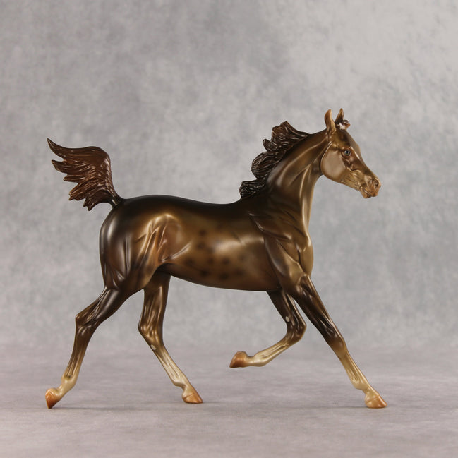Mixed Message OOAK Arabian Yearling by Anna Rieck VV26