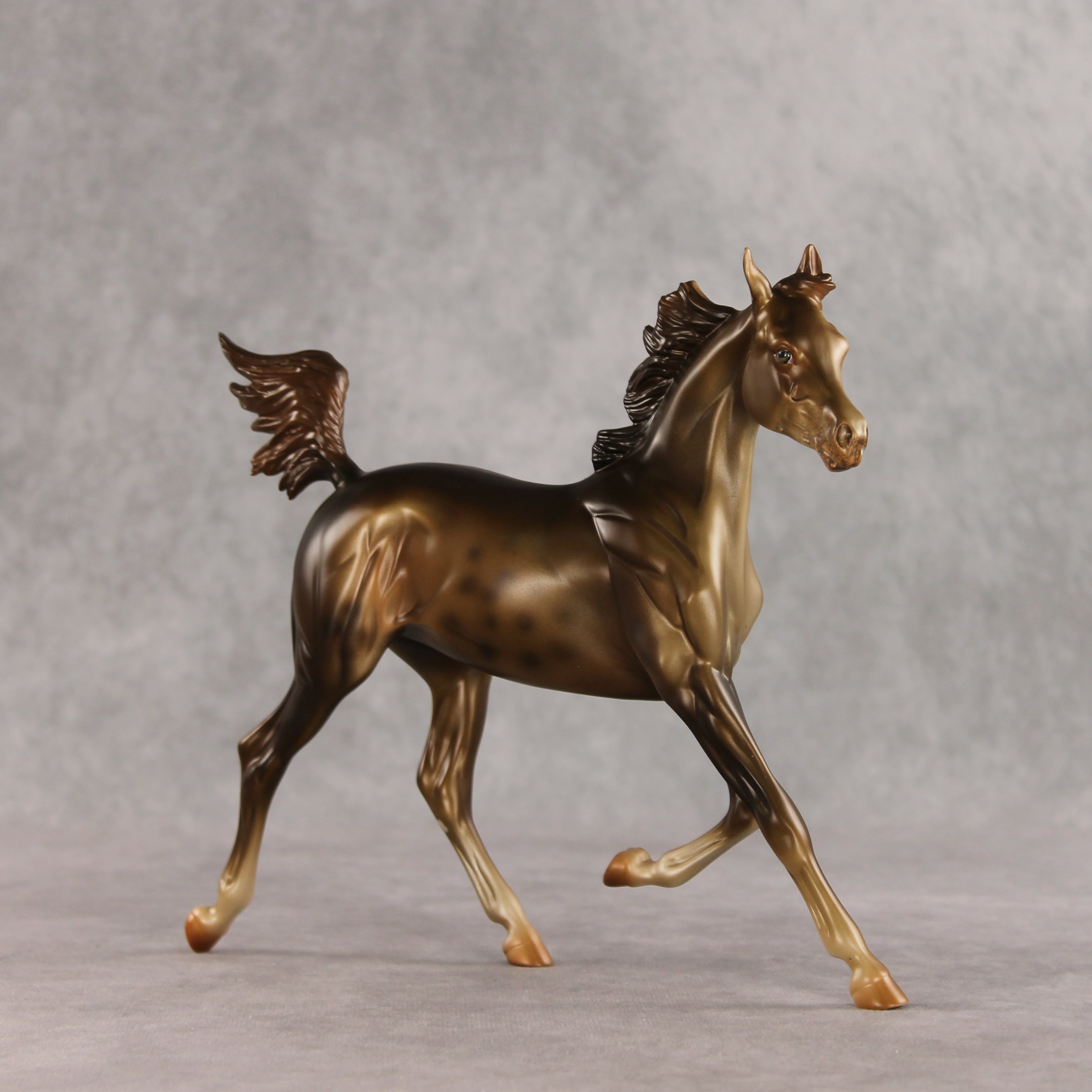 Mixed Message OOAK Arabian Yearling by Anna Rieck VV26