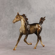 Mixed Message OOAK Arabian Yearling by Anna Rieck VV26