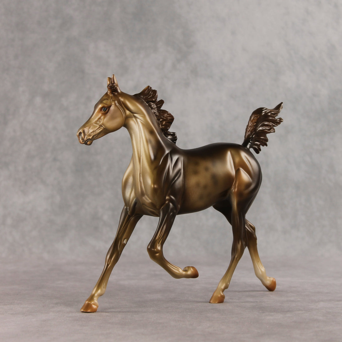 Mixed Message OOAK Arabian Yearling by Anna Rieck VV26