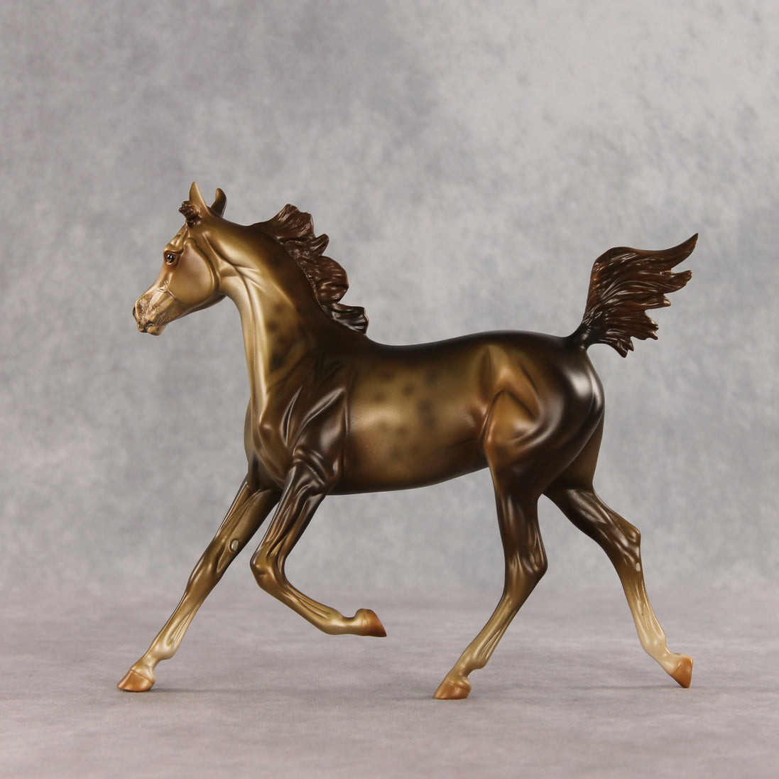 Mixed Message OOAK Arabian Yearling by Anna Rieck VV26