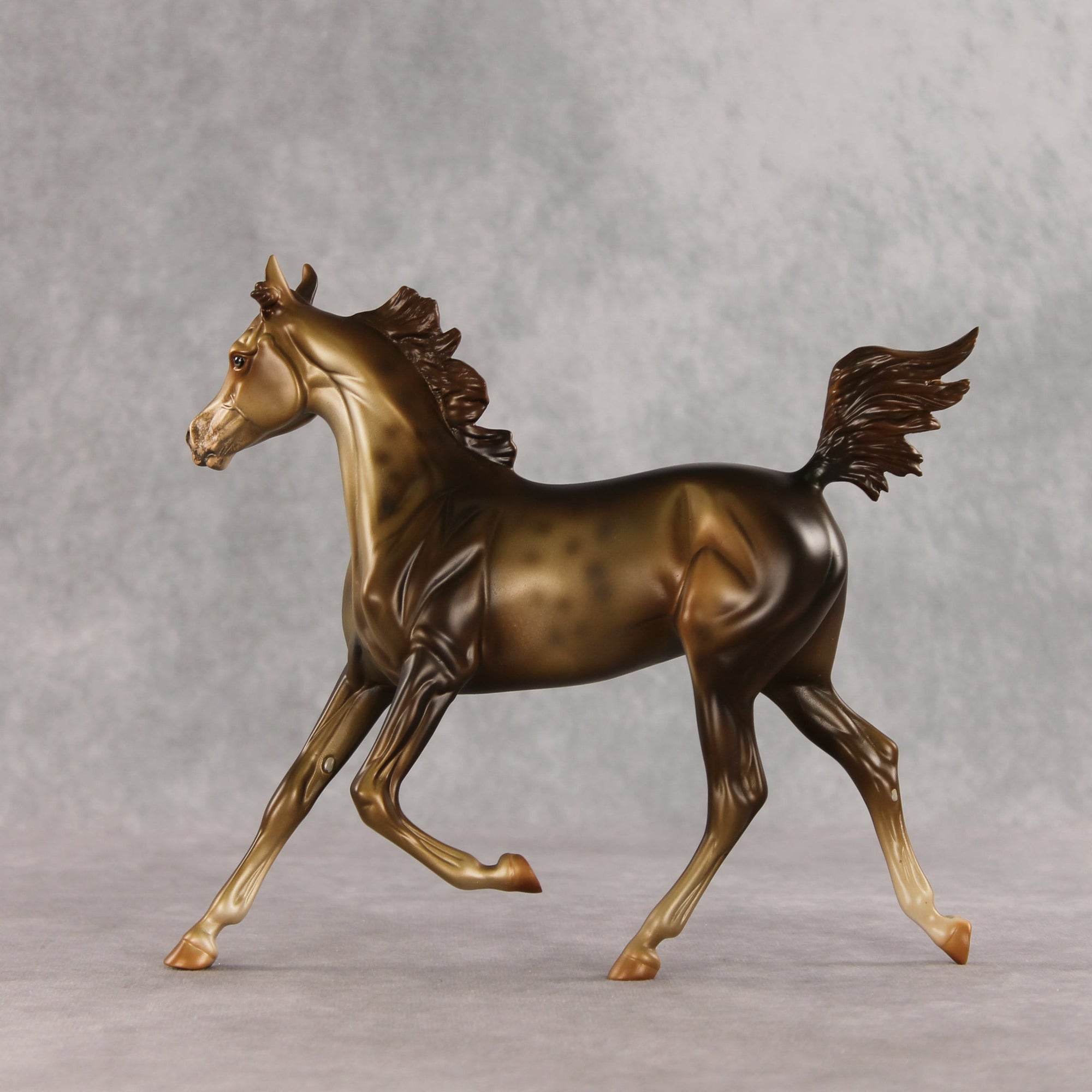 Mixed Message OOAK Arabian Yearling by Anna Rieck VV26